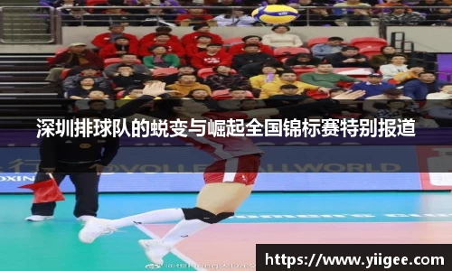 深圳排球队的蜕变与崛起全国锦标赛特别报道