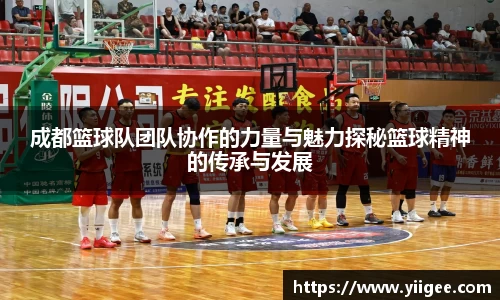 成都篮球队团队协作的力量与魅力探秘篮球精神的传承与发展
