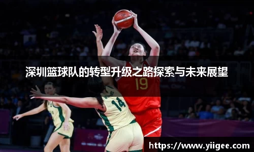 深圳篮球队的转型升级之路探索与未来展望