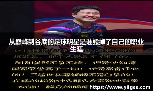 从巅峰到谷底的足球明星是谁毁掉了自己的职业生涯